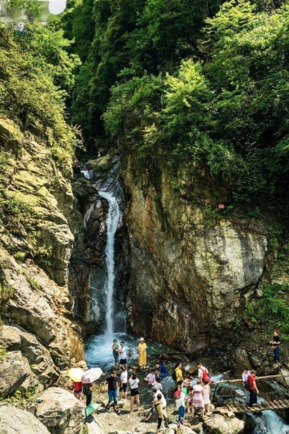 半夏投资李蓓:二十年一遇的牛市仍会到来 并且不会太远